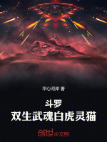 小说《斗罗:双生武魂白虎灵猫小说在线阅读》封面