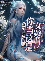 小说《练气结丹元婴修仙小说》封面