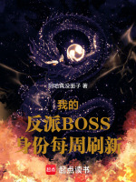 小说《我的反派boss身份每周刷新多少章》封面
