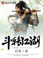 小说《斗转江湖后笙》封面