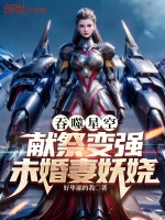 小说《r吞噬星空》封面