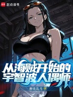 小说《从海贼开始掌控轮回眼小说》封面