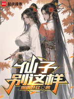 小说《仙子不对劲》封面