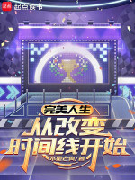 小说《完美人生的标准是什么》封面