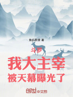 小说《大主宰驾临斗罗》封面
