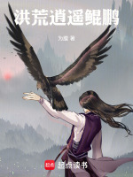 小说《洪荒鲲鹏有什么法宝》封面