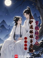 小说《穿越成林平之的武侠小说》封面