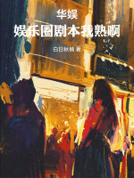 小说《华娱的小说》封面