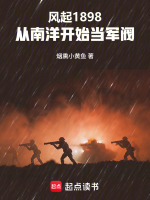 小说《1943风起南洋》封面