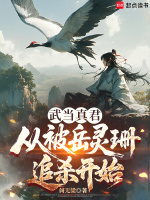 小说《武当真武》封面