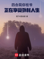 小说《四合院我傻柱智商上线了》封面