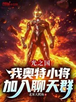 小说《光之国:我奥特小将,加入聊天群》封面