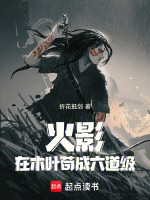 小说《我在木叶当火影手游》封面