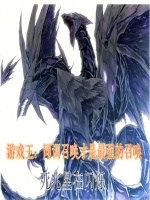 小说《游戏王同调召唤算解放吗》封面