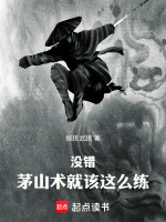 小说《茅山术入门教学》封面