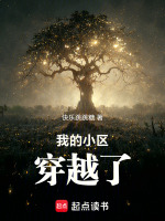 小说《我们整个小区穿越了》封面