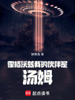小说《我的霍格沃茨有问题》封面