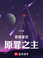 小说《吞噬星空:原罪之主百度百科》封面