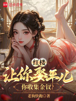 小说《红楼:让你娶平儿,你收集金钗子的小说》封面