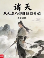 小说《开局从天龙八部》封面