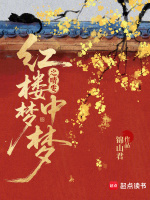 小说《红楼梦晴雯之死原文》封面