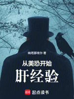 小说《看美恐的顺序》封面