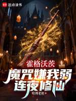小说《霍格沃茨魔咒大全》封面