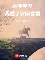 小说《吞噬星空:我成了罗家女婿手打无错字版》封面