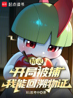 小说《精灵开局被世界追杀》封面