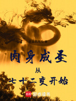 小说《肉身成圣是什么修为》封面