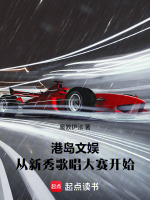 小说《娱乐港岛》封面