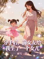 小说《前女友突然给你生个儿子》封面