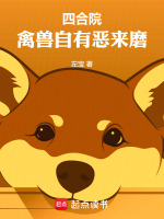 小说《小说,四合院》封面