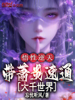 小说《萧炎刚进入大千世界灵力》封面