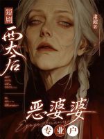 小说《西太后电视剧》封面