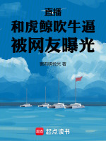 小说《和虎鲸一起游泳》封面