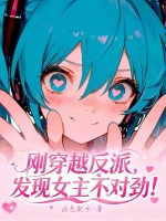 小说《女主穿越反派小说古言》封面