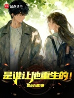 小说《是谁让我重生的?》封面
