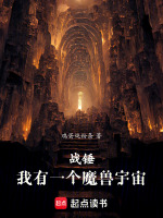 小说《战锤:我有一个魔兽宇宙》封面