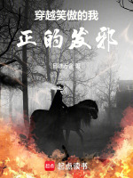 小说《穿越笑傲小说》封面
