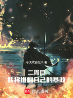 小说《二周目,我将推翻自己的暴政》封面