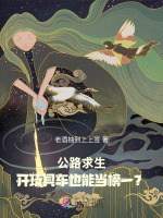 小说《玩具车公路行驶》封面
