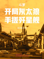 小说《开局斗罗大陆》封面
