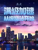 小说《高武等级设定》封面