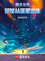 小说《精灵世界动画》封面