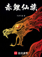 小说《赤鲤图片》封面