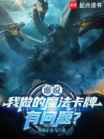 小说《魔法卡我觉得不行》封面