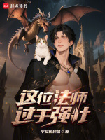 小说《这个法师明明超强》封面