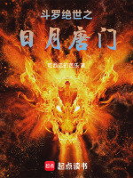 小说《绝世唐门之日月帝国小说》封面