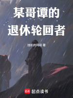 小说《某哥谭的退休轮回者起点中文网》封面